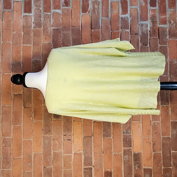 Anthropologie Sparkly Sheer Open Sleeve Tunic Top - Picture 5 of 12